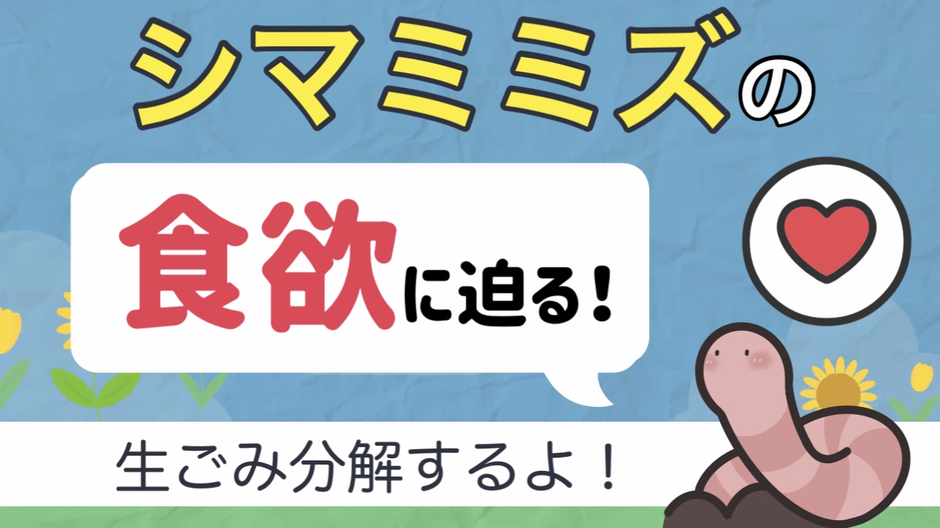 ミミズコンポストの分解力！1日で食べられる生ゴミの量はどのくらい