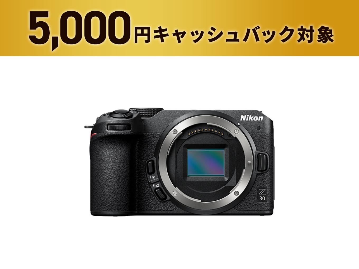 Z30 - 公式通販 | ミラーレスカメラ | NikonDirect - ニコンダイレクト