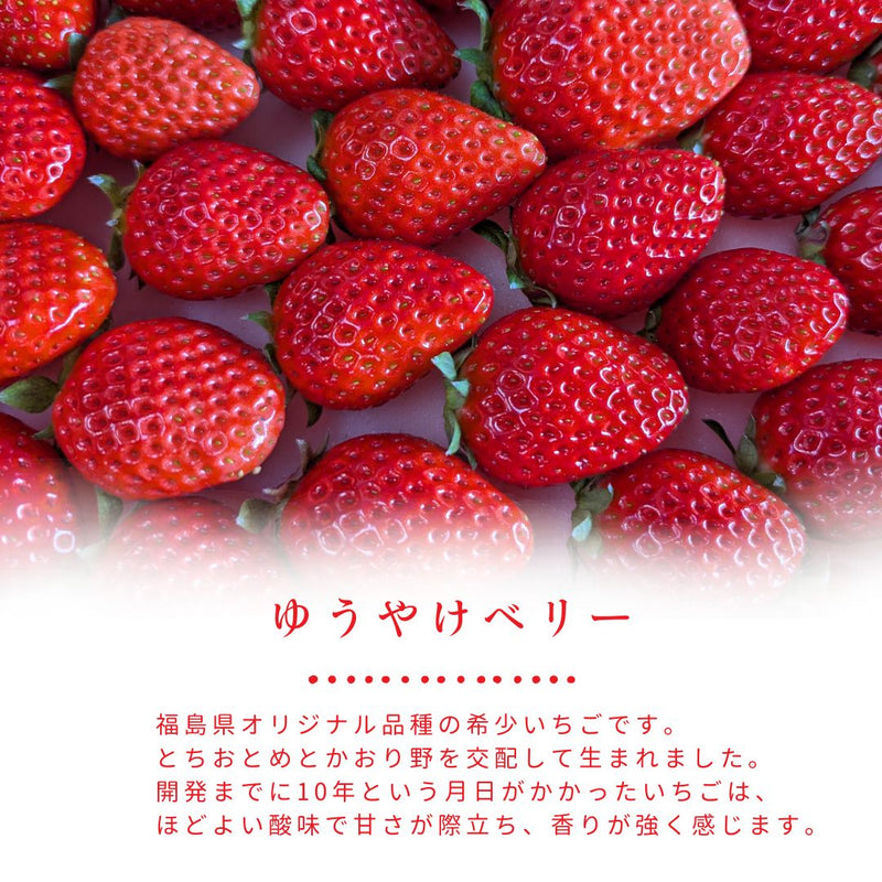 いちご 【モスト絆ファーム】 農薬不使用 ゆうやけベリー 250g×4P 福島
