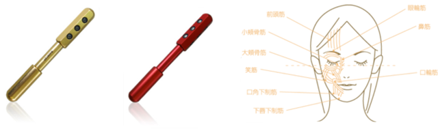 ゲルマローラー - 株式会社エヌ・アイ・エス