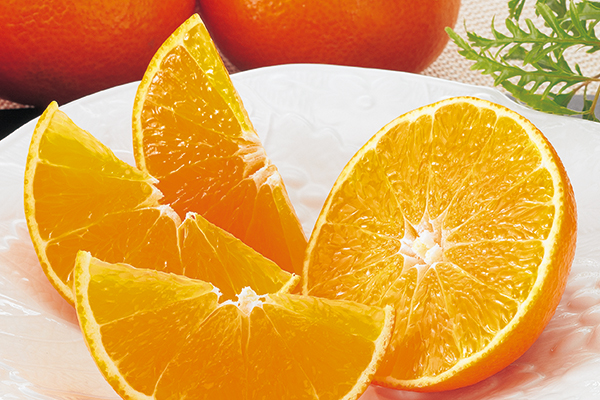 コタツでみかん「プチセット」 | のま果樹園