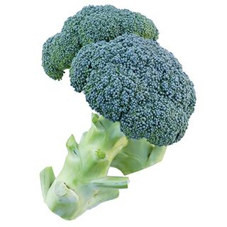 ブロッコリー | 農業屋.com