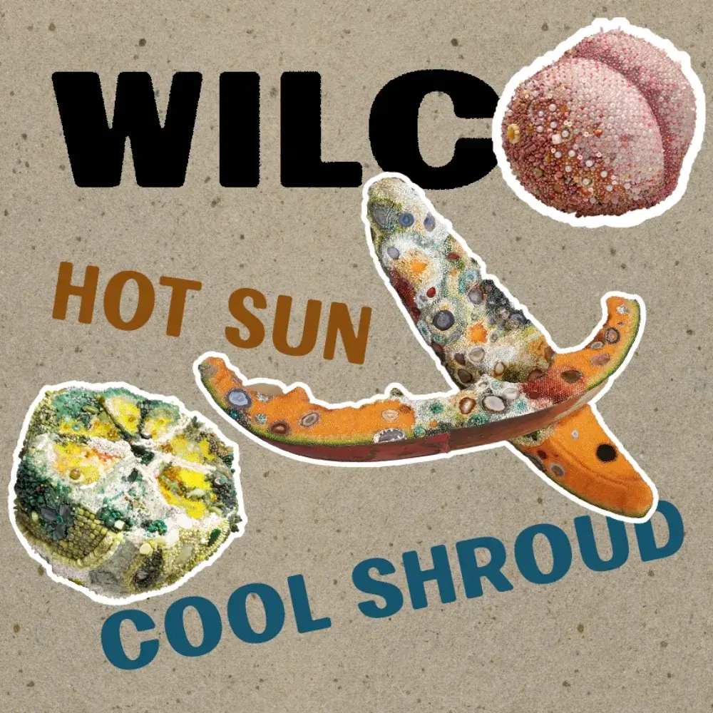Wilco - Hot Sun Cool Shroud - Northern Transmissions