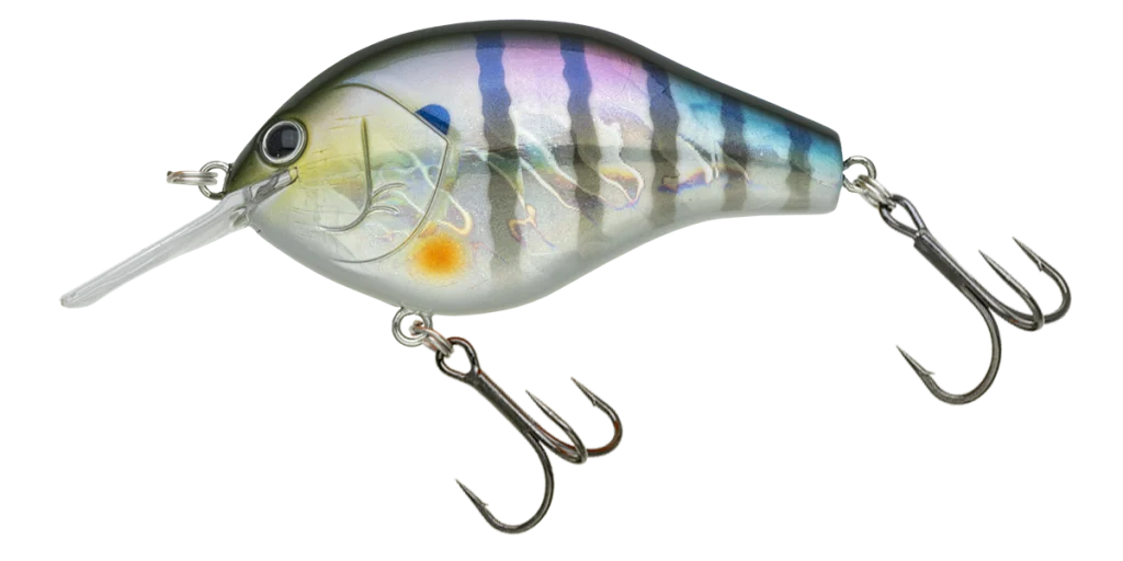 MARUNOMI FLAT | BASS | NORIES