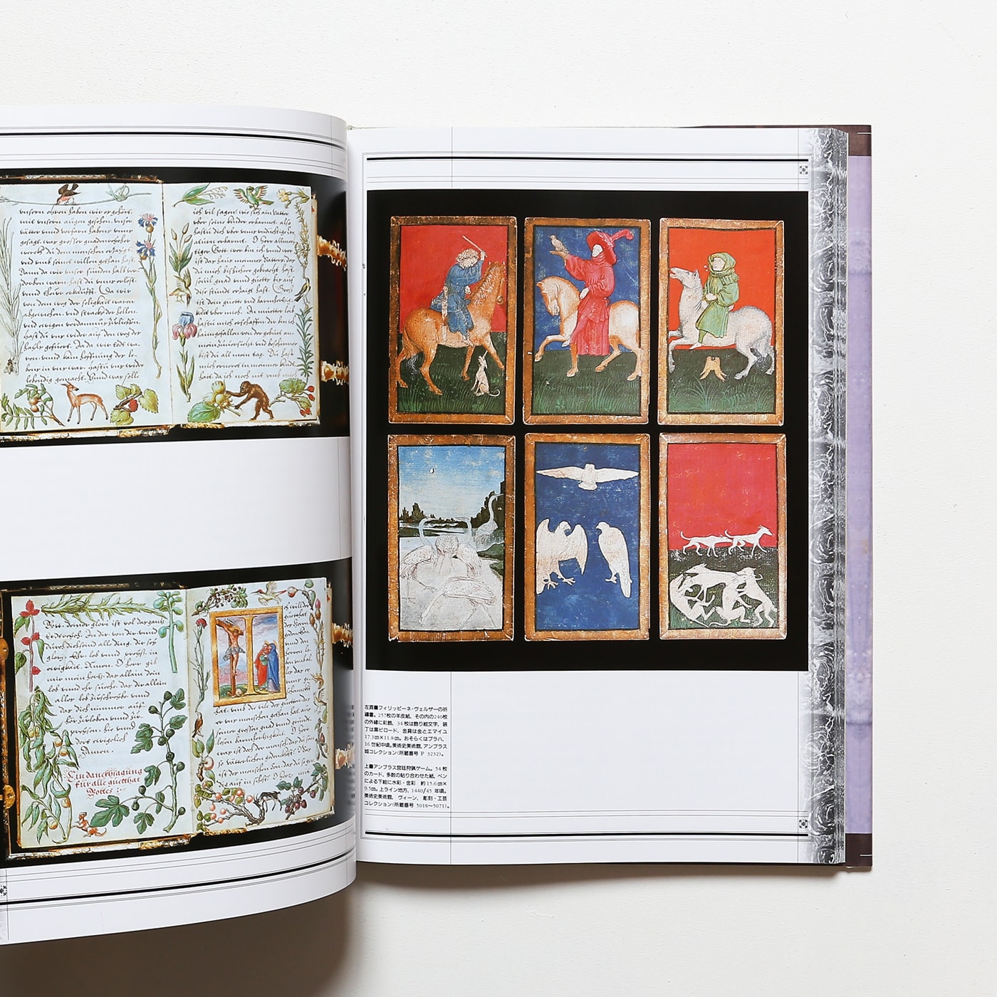 驚異の部屋 ハプスブルク家の珍宝蒐集室 | エリーザベト・シャイヒャー