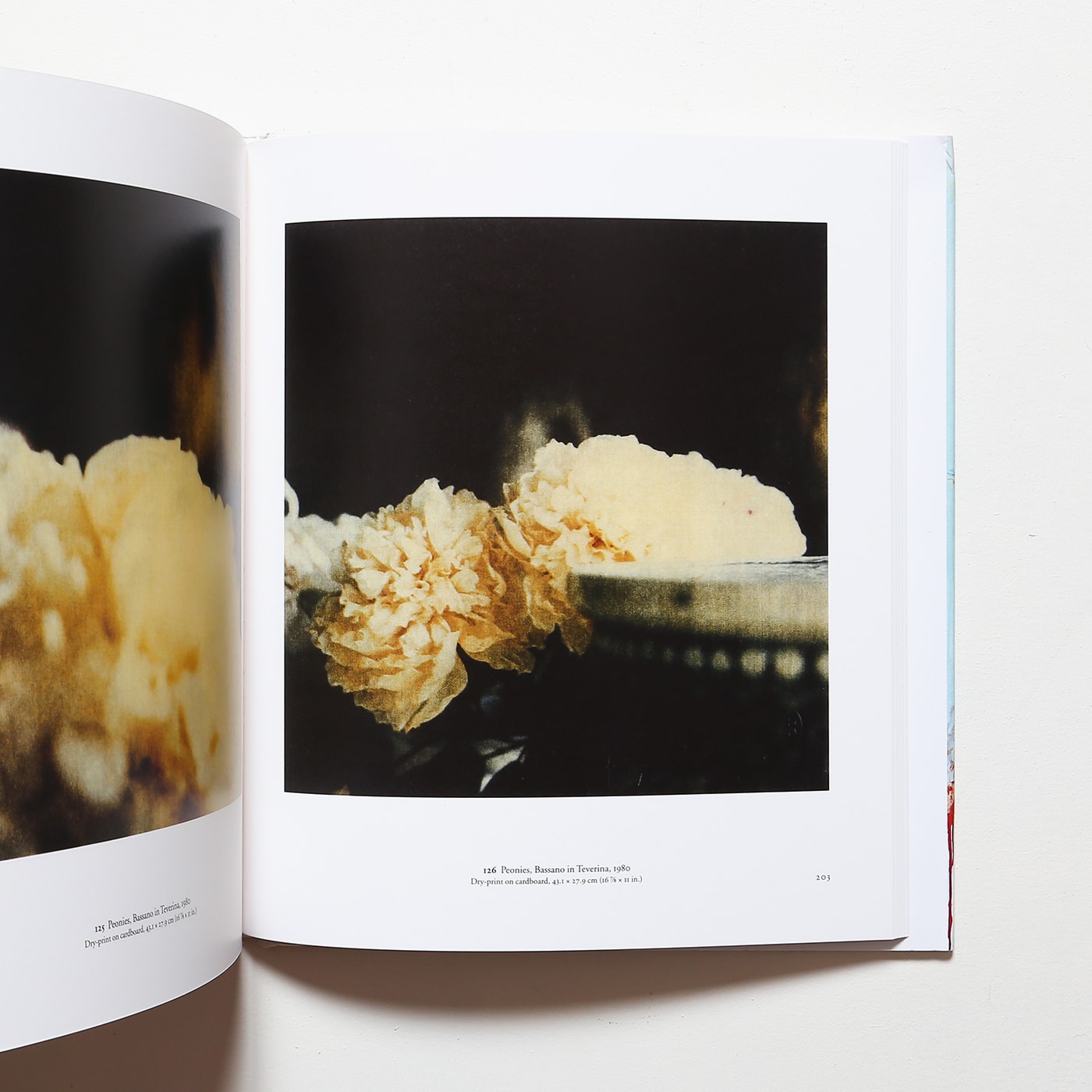 The Essential Cy Twombly | サイ・トゥオンブリー画集 | nostos books