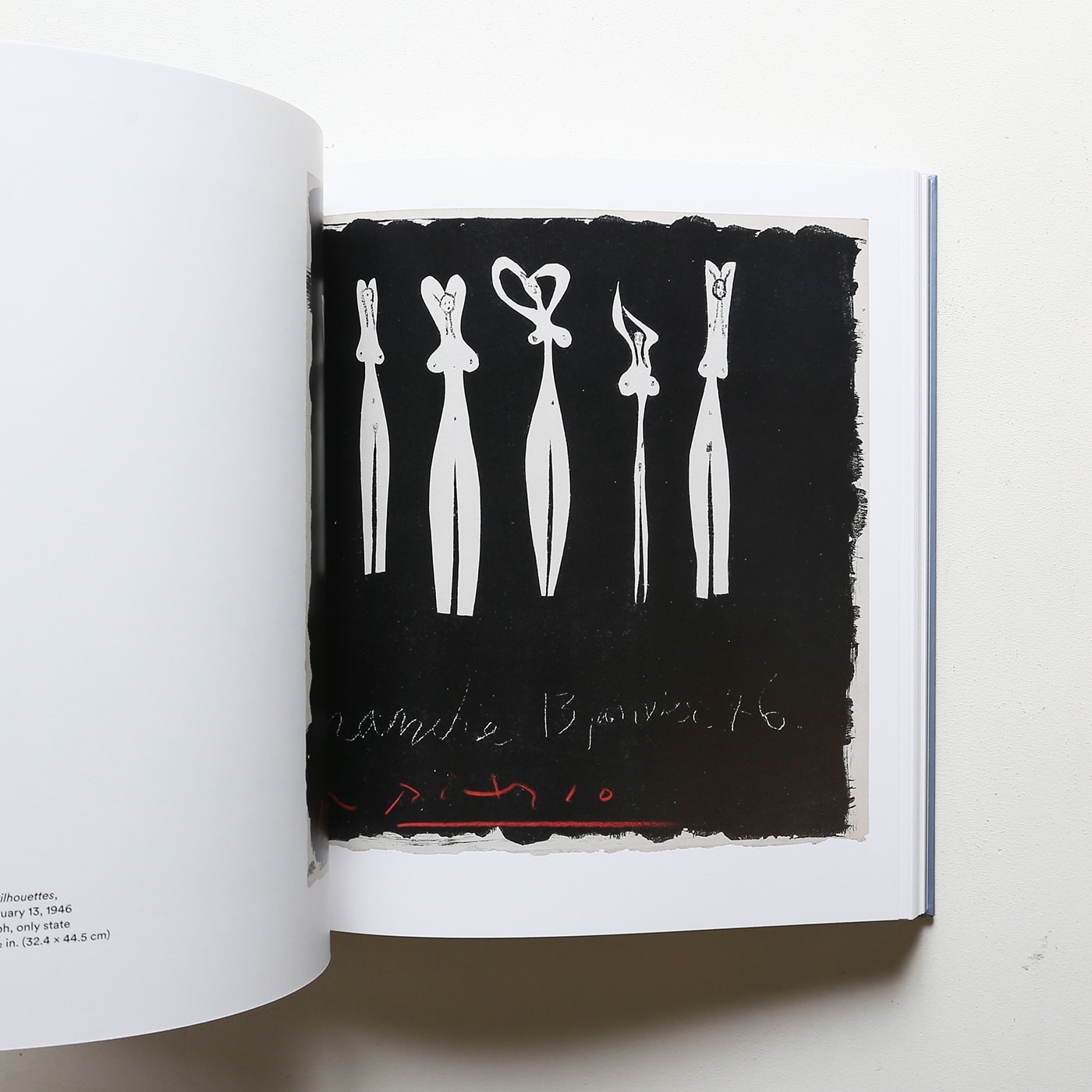 Picasso Cut Papers | パブロ・ピカソ | nostos books ノストスブックス