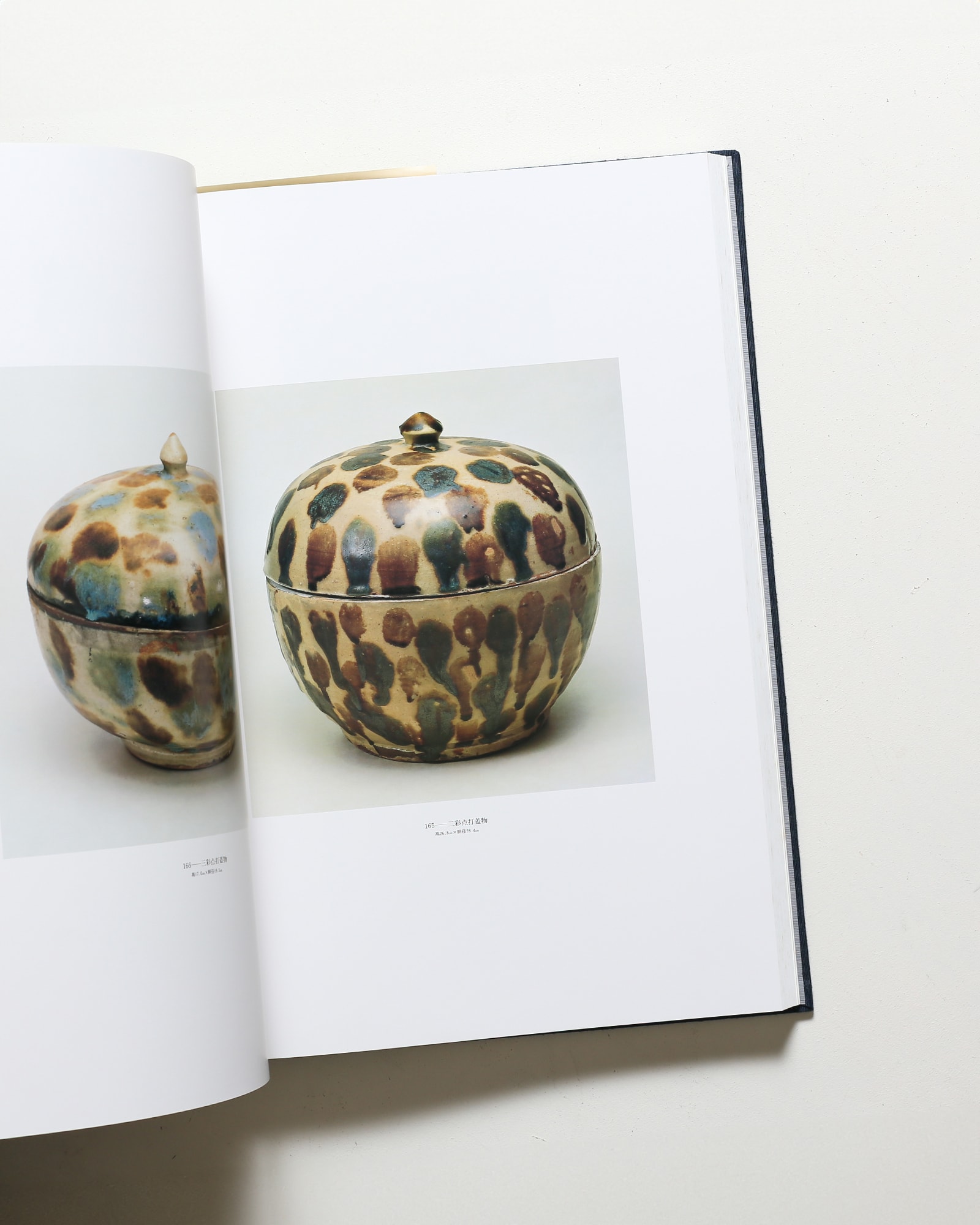 琉球陶器 人間国宝 金城次郎 | nostos books ノストスブックス