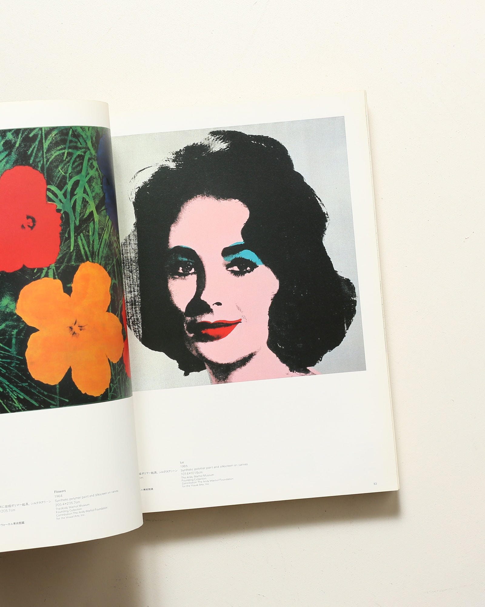 アンディ・ウォーホル 1956-86 時代の鏡 | nostos books ノストスブックス