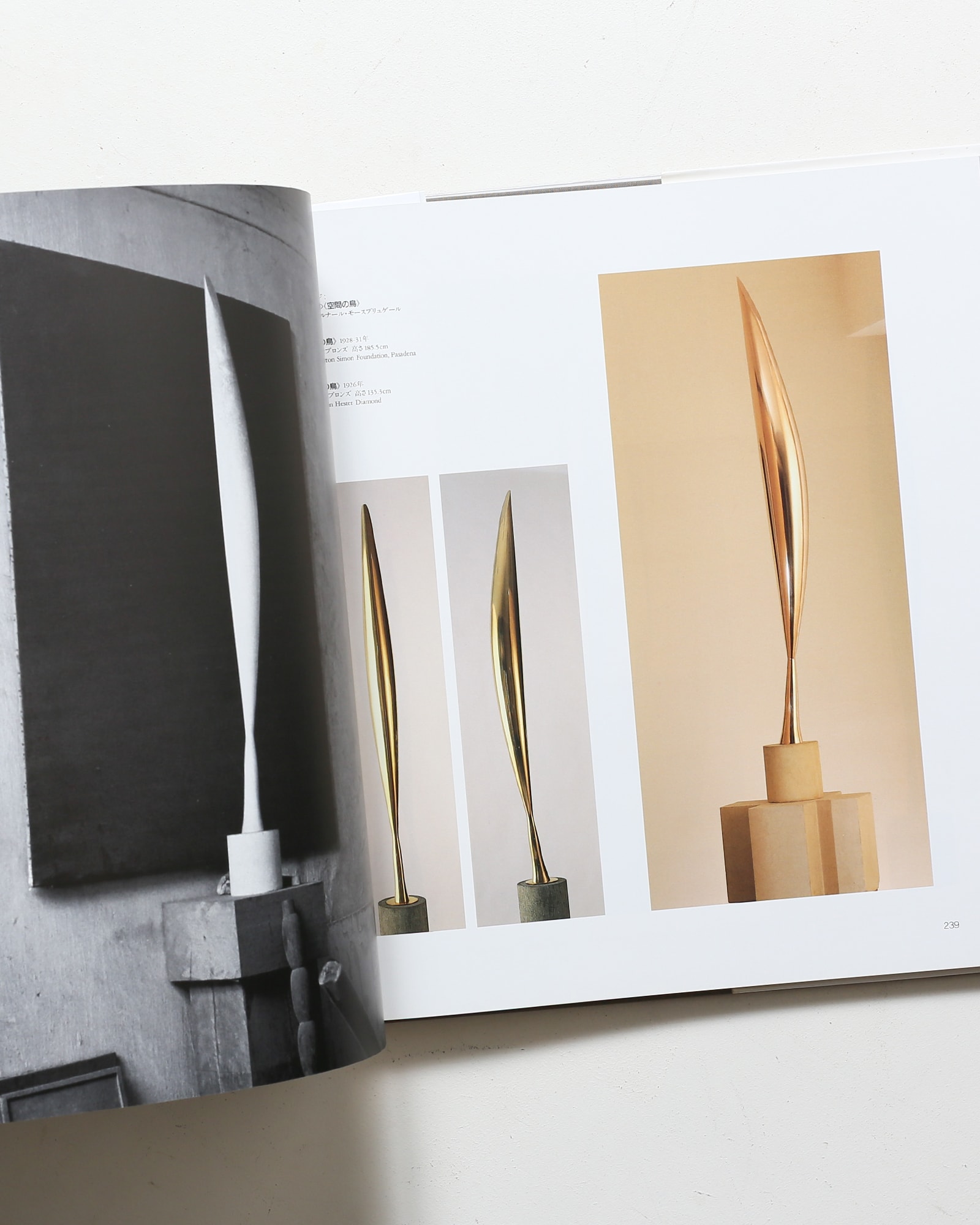 ブランクーシ作品集 | ラドゥ・ヴァリア | nostos books ノストスブックス