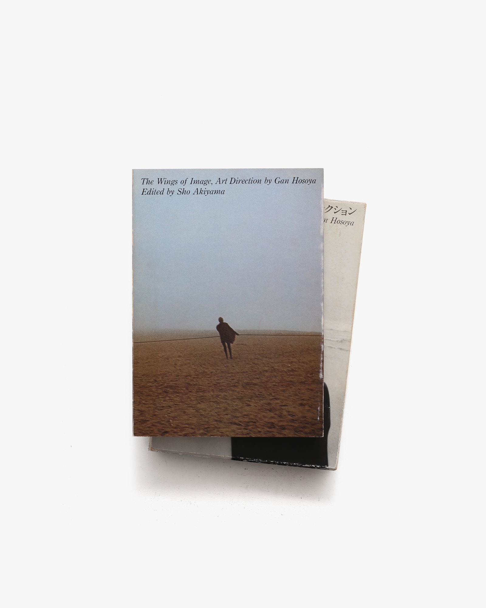 イメージの翼 細谷巌アートディレクション | nostos books ノストス