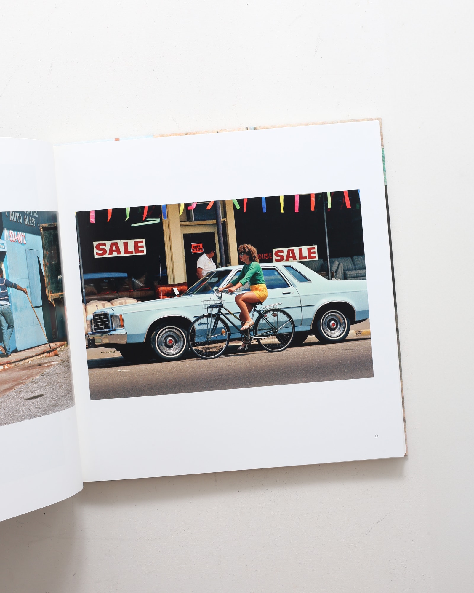 The Democratic Forest | William Eggleston ウィリアム・エグルストン