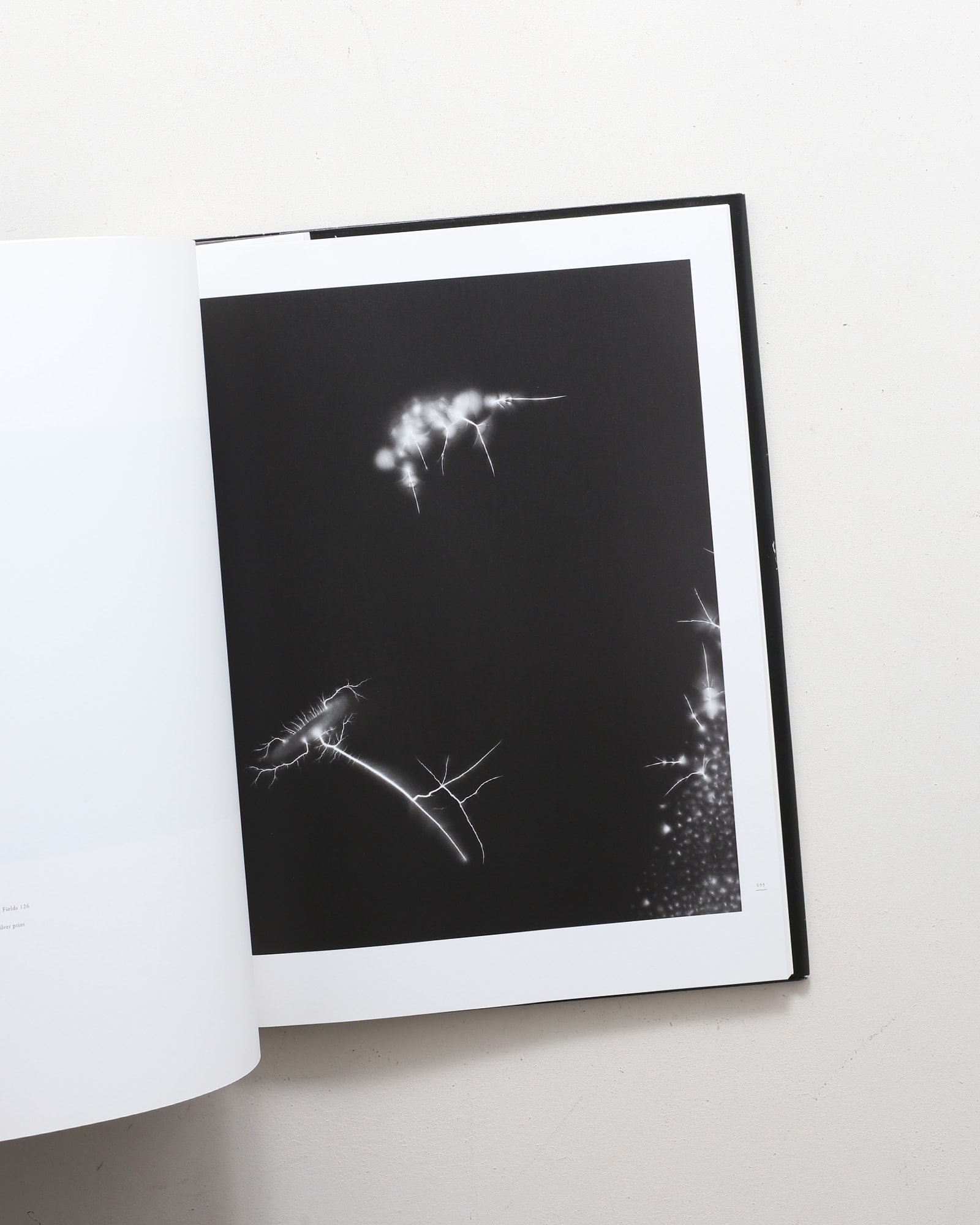 杉本博司 光の自然 | IZU PHOTO MUSEUM | nostos books ノストスブックス