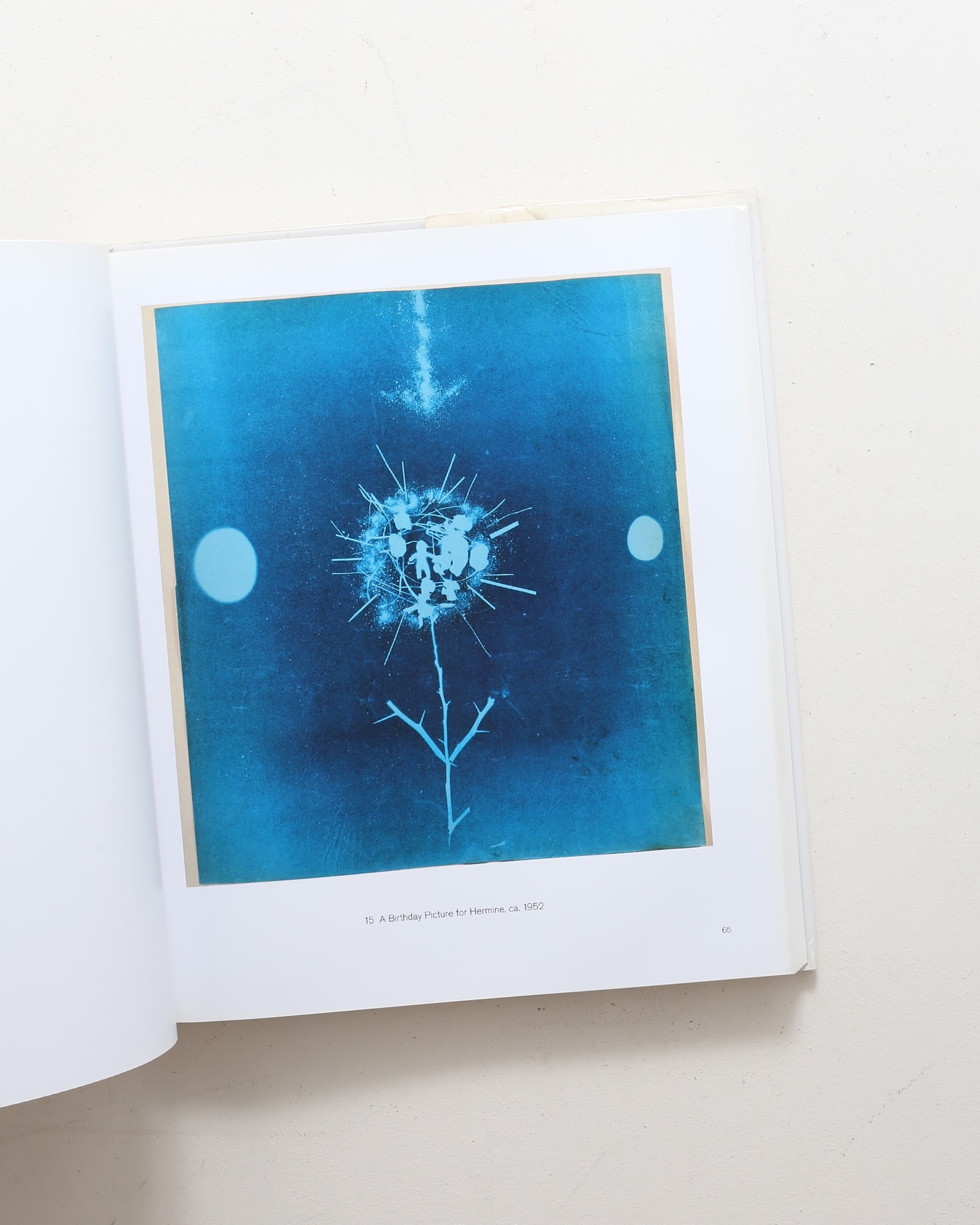 Robert Rauschenberg: Photographs 1949 - 1962 | ロバート・ラウ