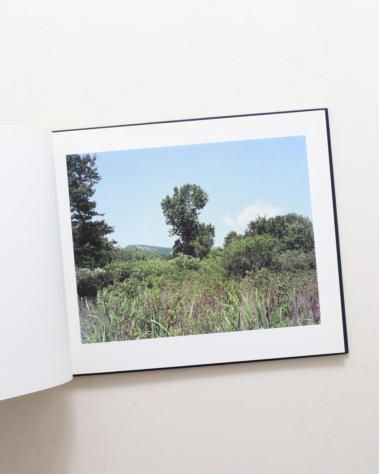 Stephen Shore: The Hudson Valley | スティーブン・ショア | nostos