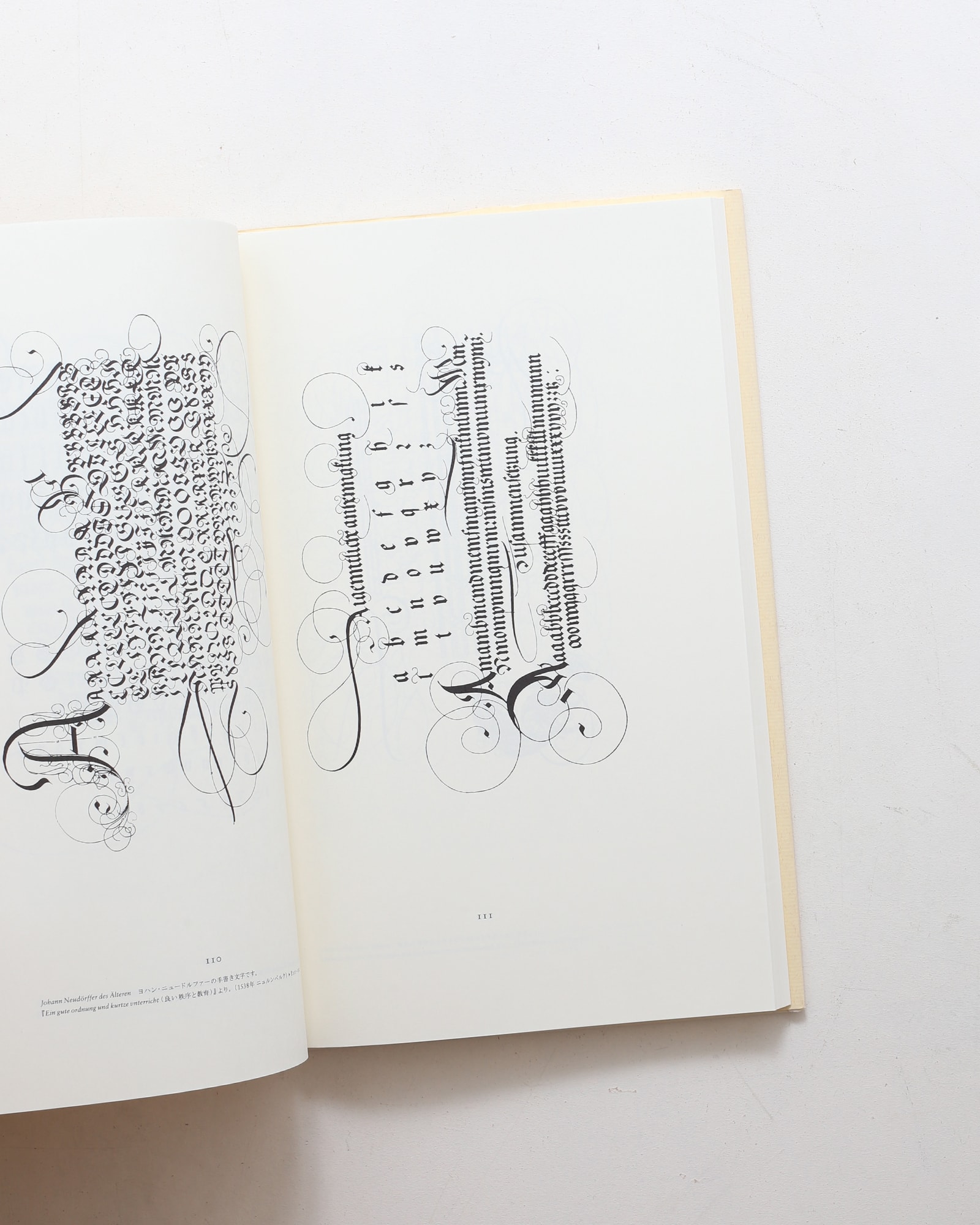 ヤン・チヒョルト 書物と活字 | nostos books ノストスブックス