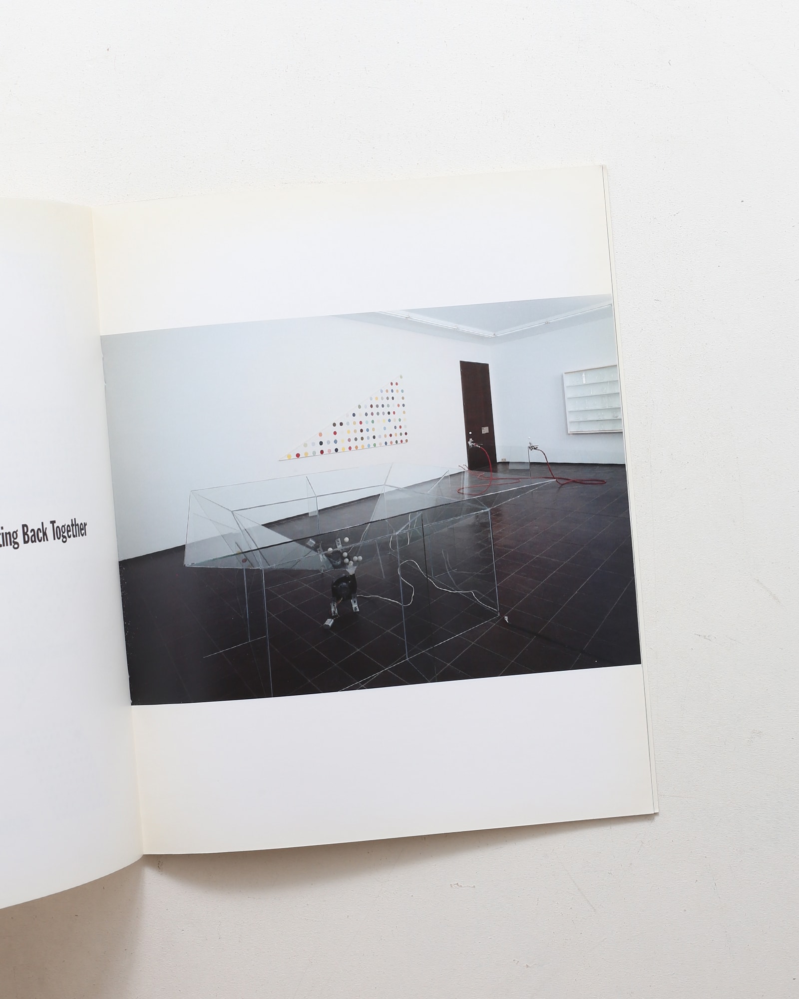 Damien Hirst: The Acquired Inability to Escape | nostos books