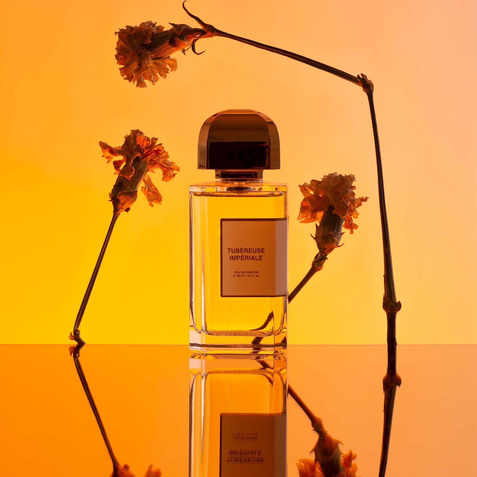 チュべルーズインペリアル – NOSE SHOP