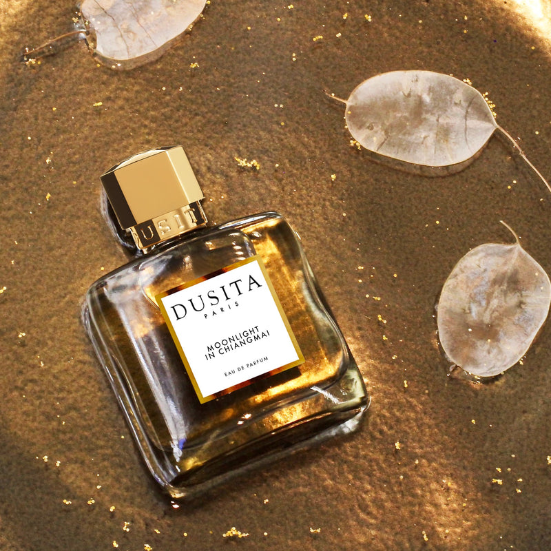 ムーンライト イン チェンマイ – NOSE SHOP