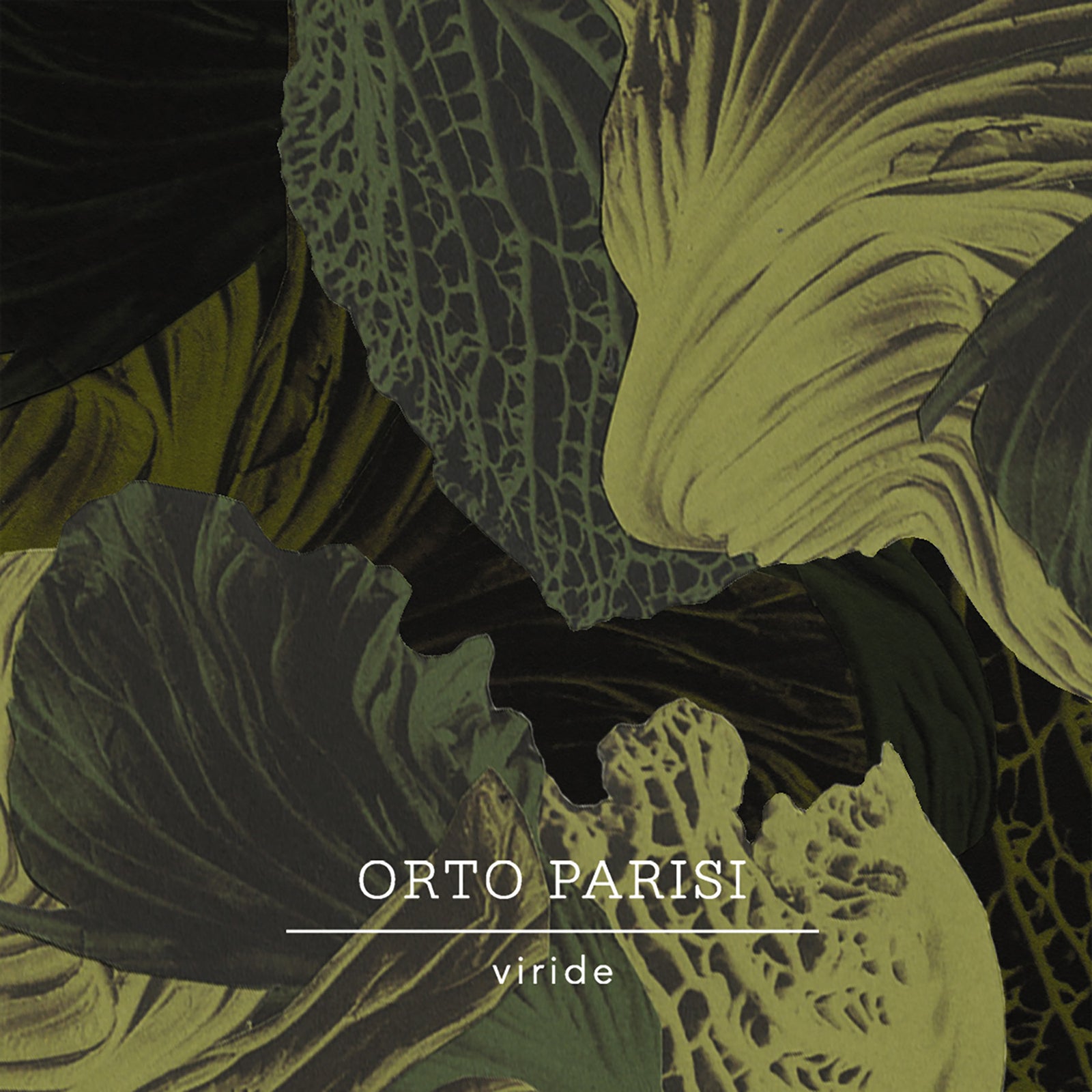 ヴィリデ｜緑 – NOSE SHOP