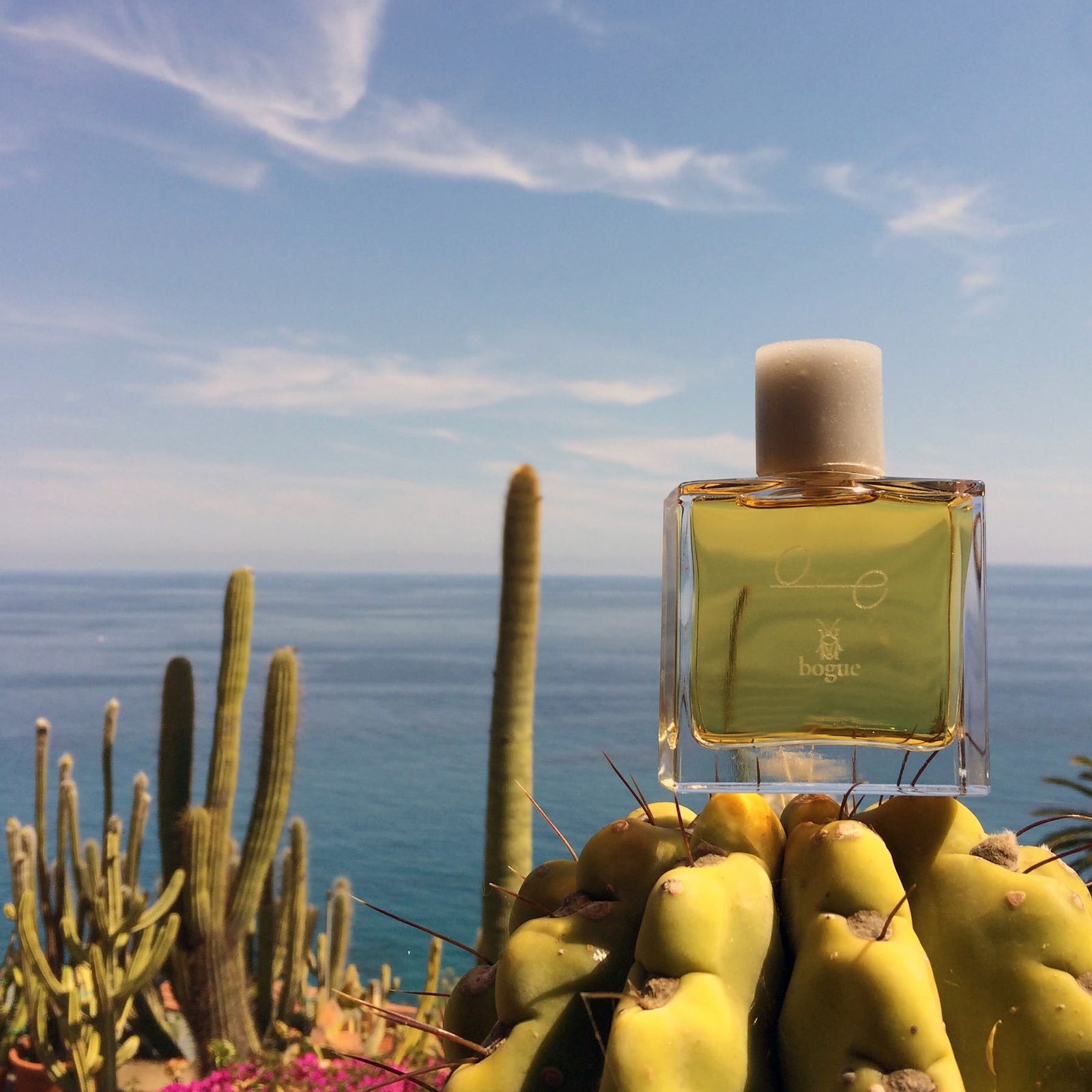 オーイー – NOSE SHOP