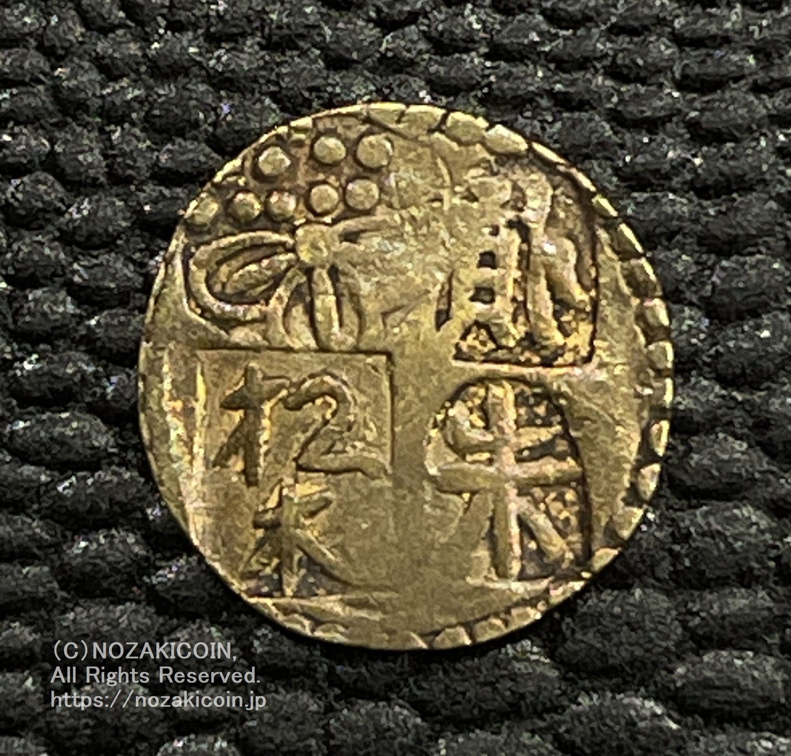 IMG_6594_1600x.jpg?v=1710413335