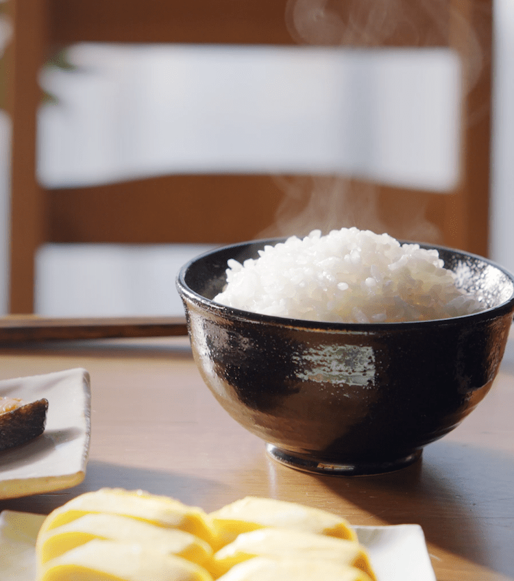 ダイエットフード DREXEL 50RICE DREXEL 50RICE 【公式通販】