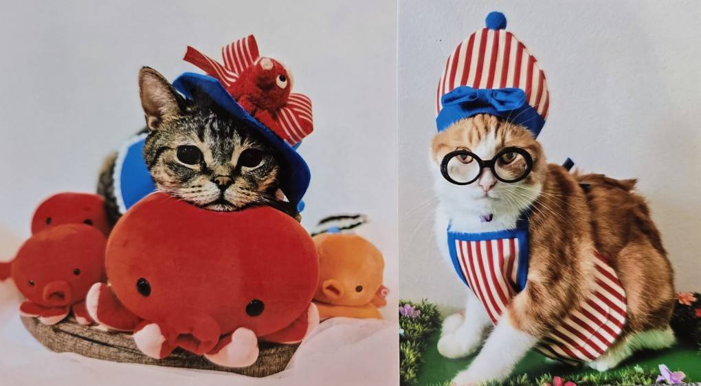 にゃんだらけ公式サイト