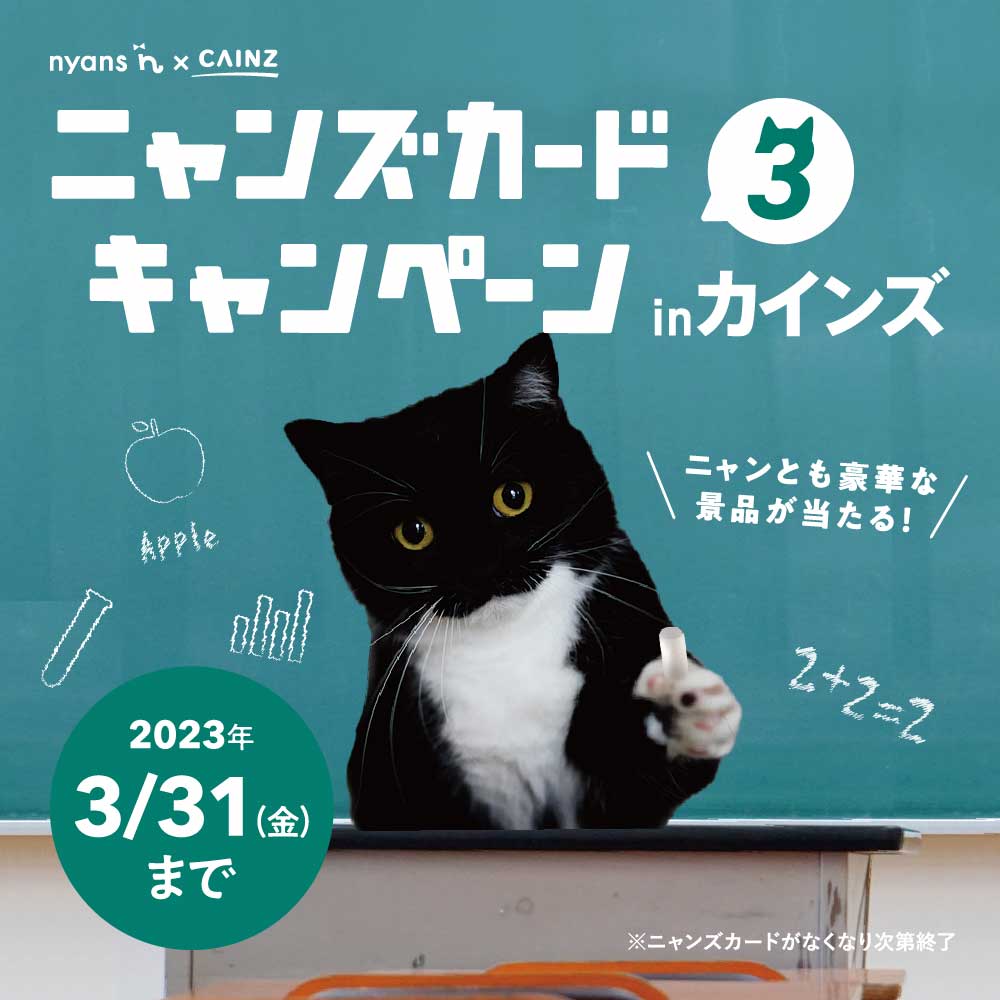 ニャンズカードキャンペーンinカインズ3」を実施￼ | 株式会社nyans
