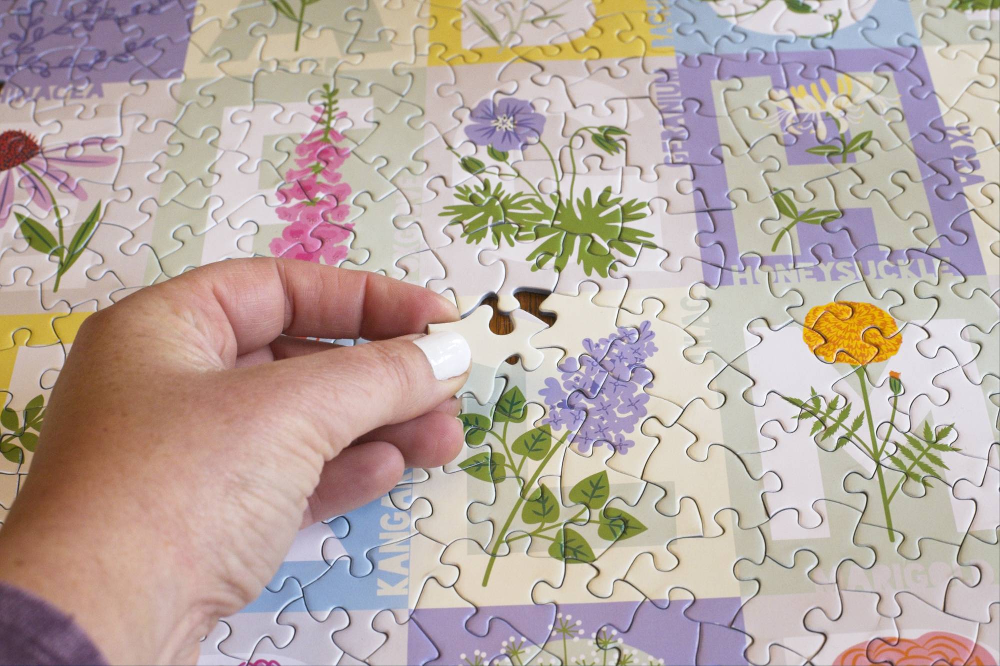 Alphabet Flower Puzzle – 500-Piece Botanical Jigsaw – Oakland