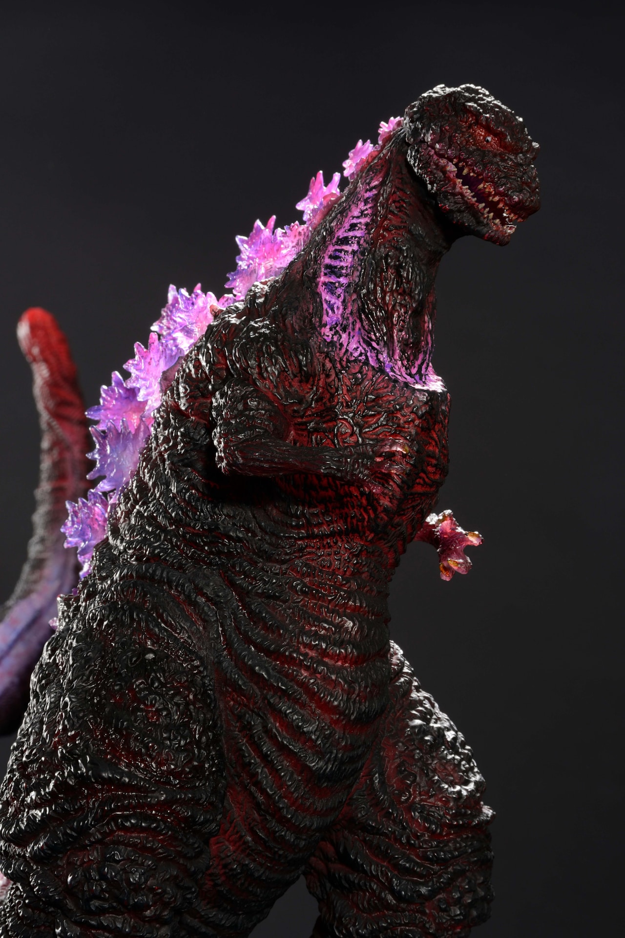 hoshagodzilla_201611_03.jpg?