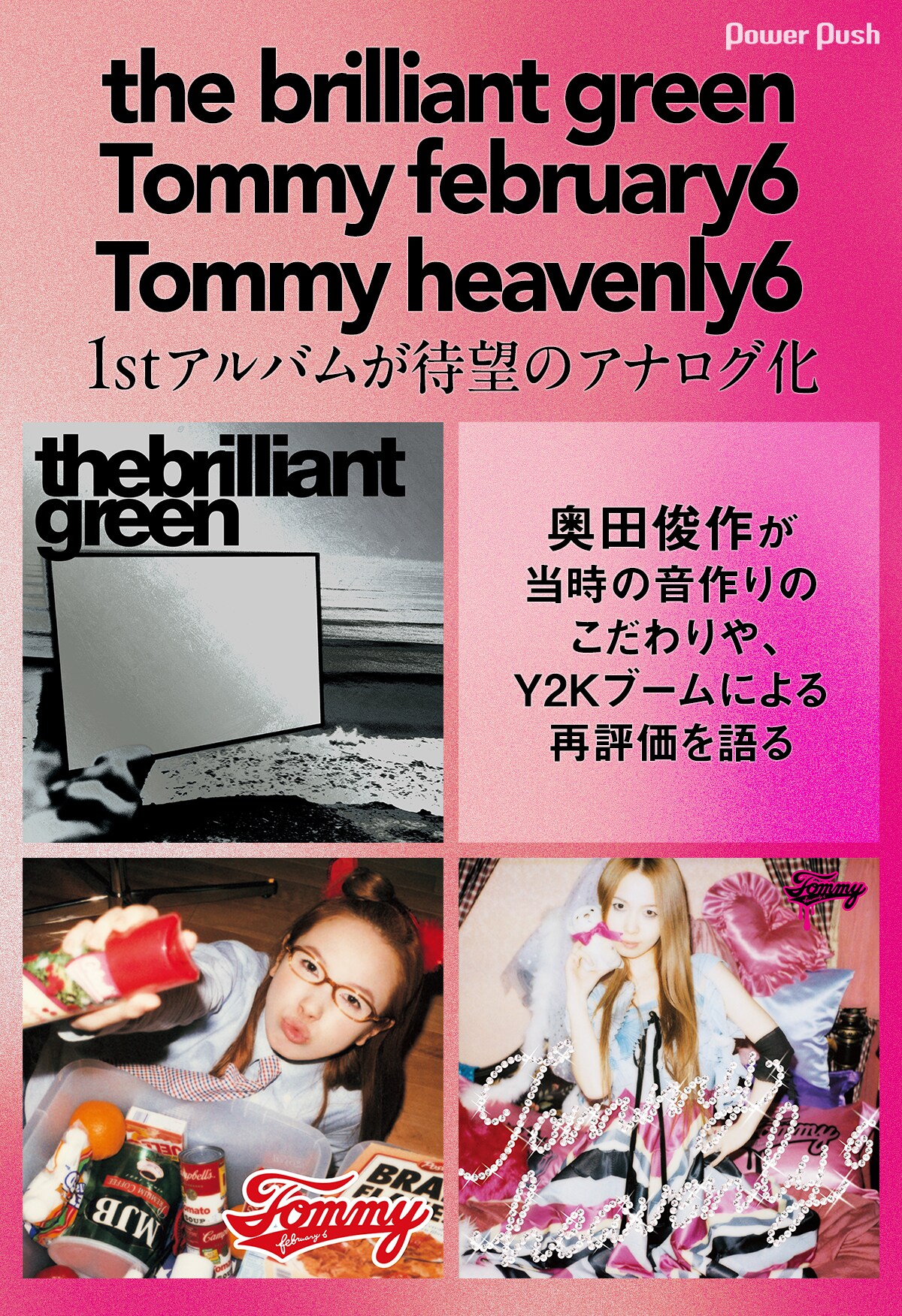 the brilliant green、Tommy february6、Tommy heavenly6アナログ盤