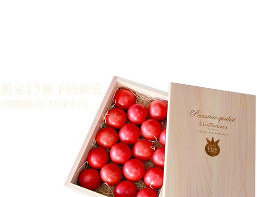 リサ・フルーツトマト【独自の酸味と甘み】 | 高知県おかざき農園