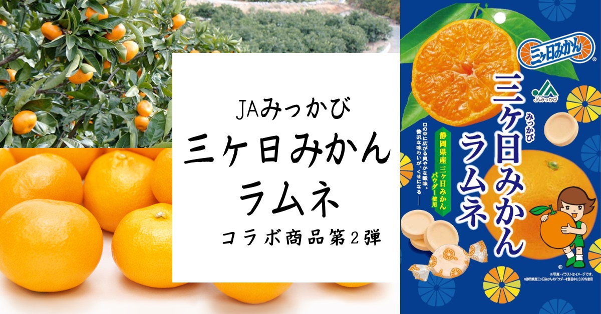 みかんシーズン！【旬の果物】三ケ日みかんのお菓子 第2弾発売｜お菓子