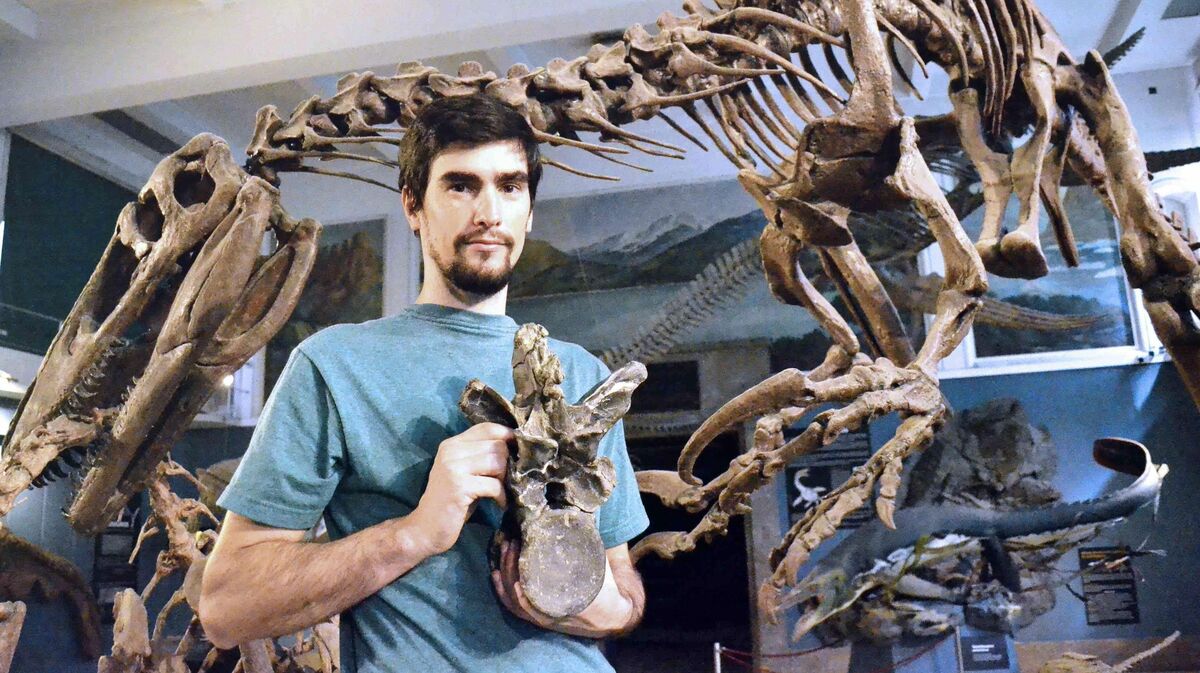 南米で新種の恐竜化石 大型肉食「南半球の頂点」 | 沖縄タイムス＋プラス