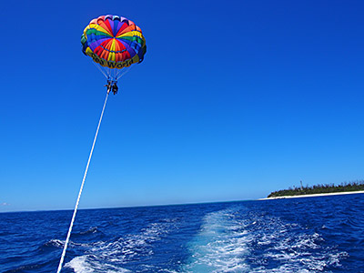 パラセール | 北部発ホエールウォッチング｜沖縄アイランドクルー