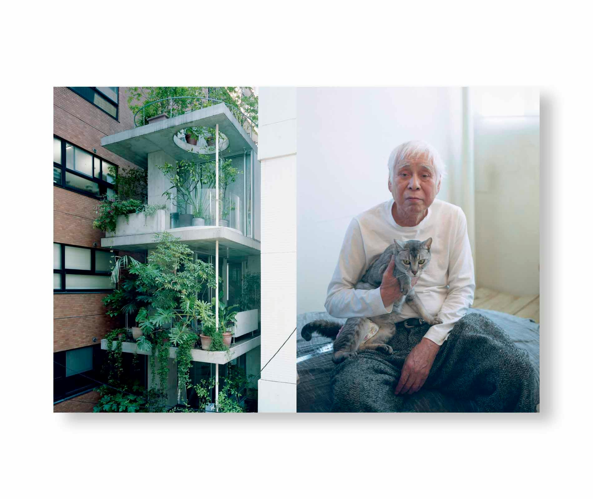 TOKYO OLYMPIA [SIGNED]：ホンマタカシ | OIL - 現代アート・絵画の