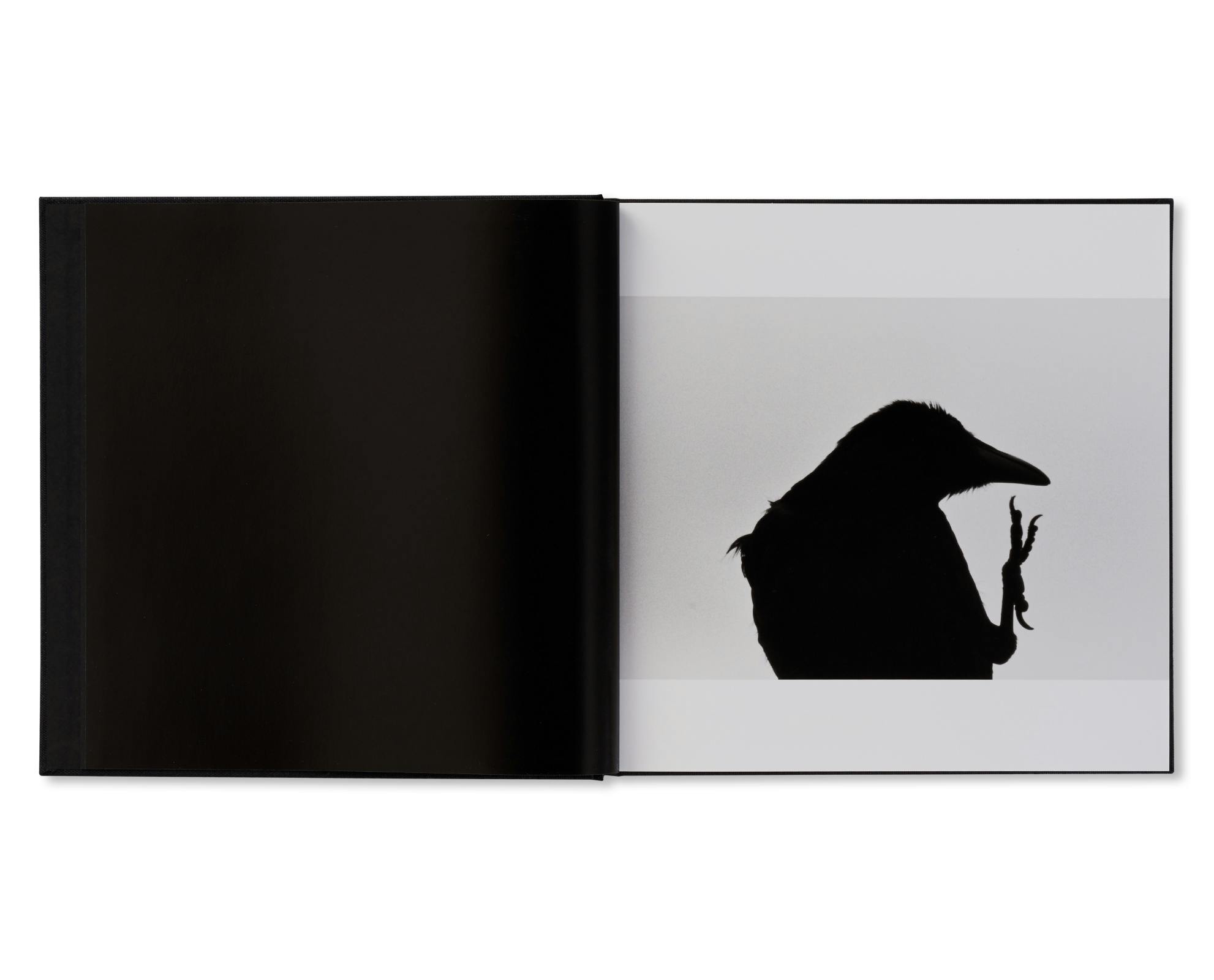 1000部限定・函付き】深瀬昌久 写真集 「鴉」 ラットホールギャラリー