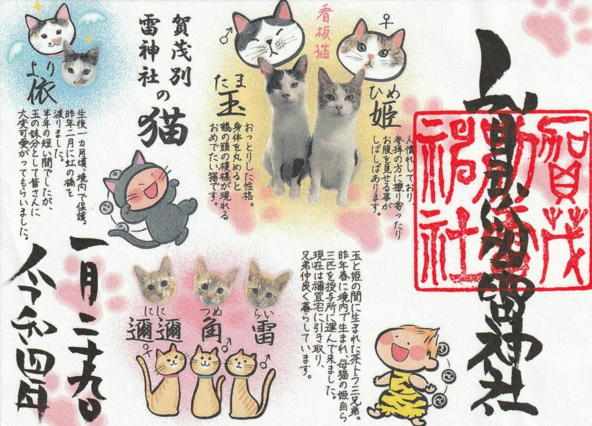 賀茂別雷神社とは？御朱印コレクター必見！デザインは一年で100種類を