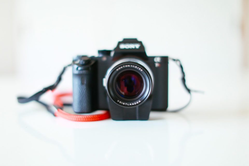 ソニーのミラーレス一眼カメラ「α7RII」を買いました！（撮影サンプル