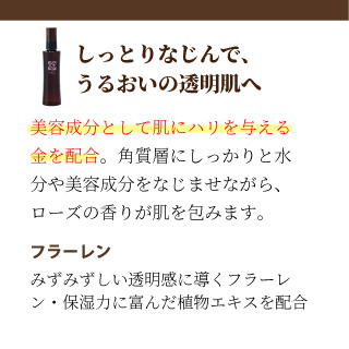 EBM ONLINE STUDIO / ローズガルヴァーニ スキンナビゲーター