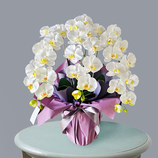 zouka3F_600x600_crop_center.