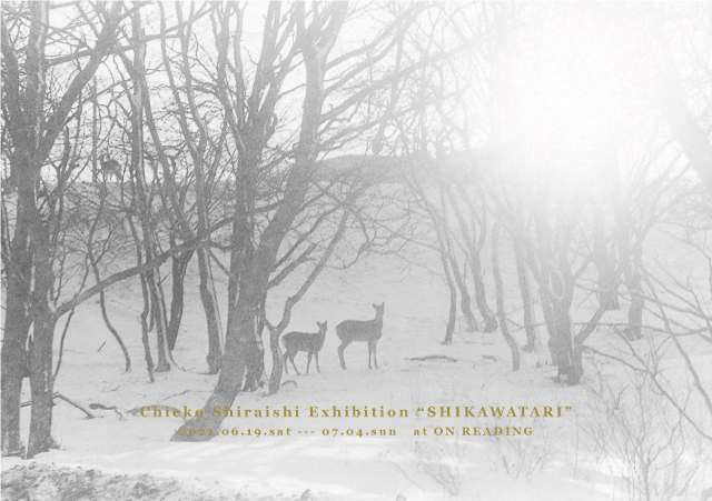 白石ちえこ 写真展『鹿渡り SHIKAWATARI』 | bookshop and gallery ON