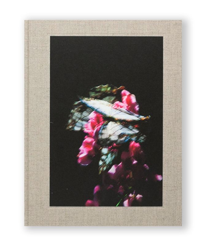 新入荷】KANON / 山上新平 | bookshop and gallery ON READING