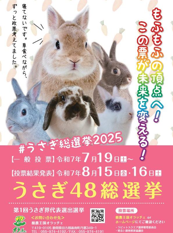 うさぎ48 エントリーうさぎ | 酪農王国オラッチェ