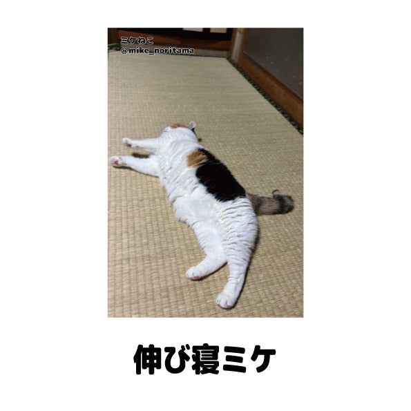 数量限定】ミケねこ日常瞬間集 ポストカードセット – 俺の推し