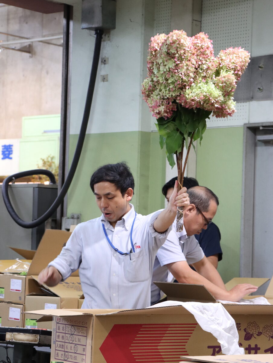 新人セリ人デビュー！ - 株式会社大田花き