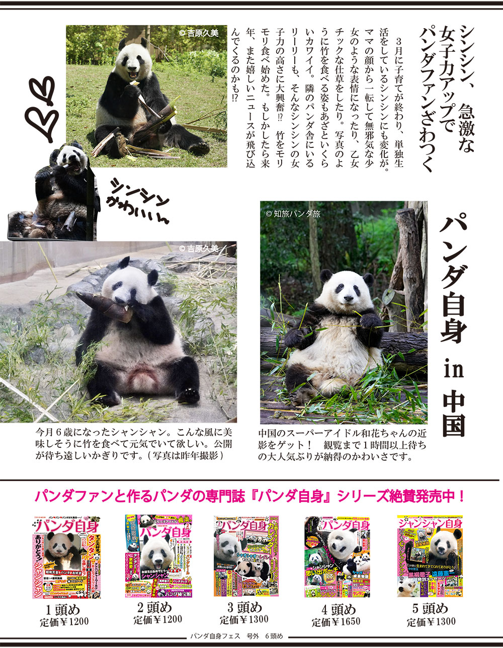 パンダ自身」公式サイト | 光文社のパンダ専門誌 | panda.jisin.jp