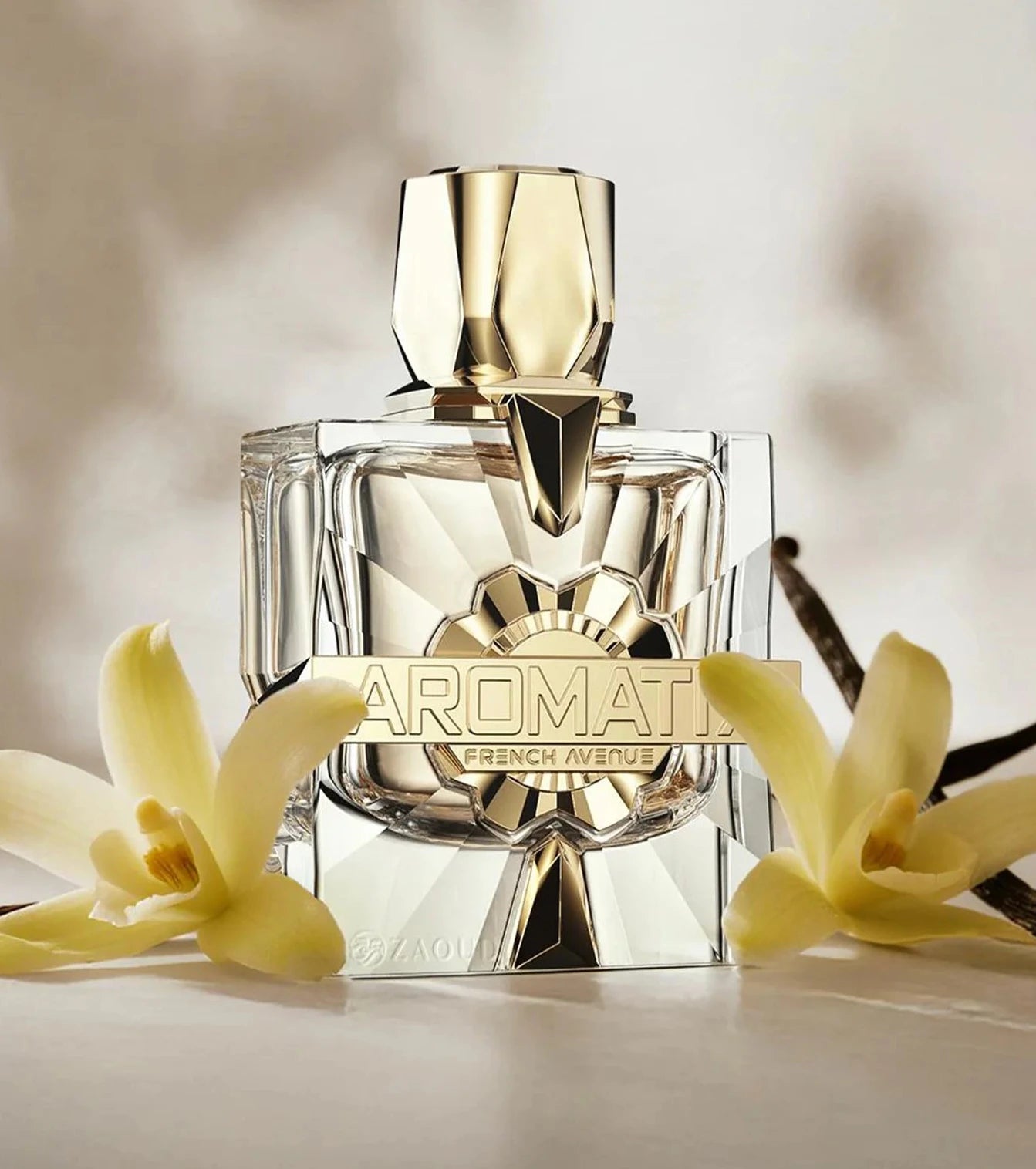 Aromatix X Xandal - 100ml by French Avenue – Panda Perfumes