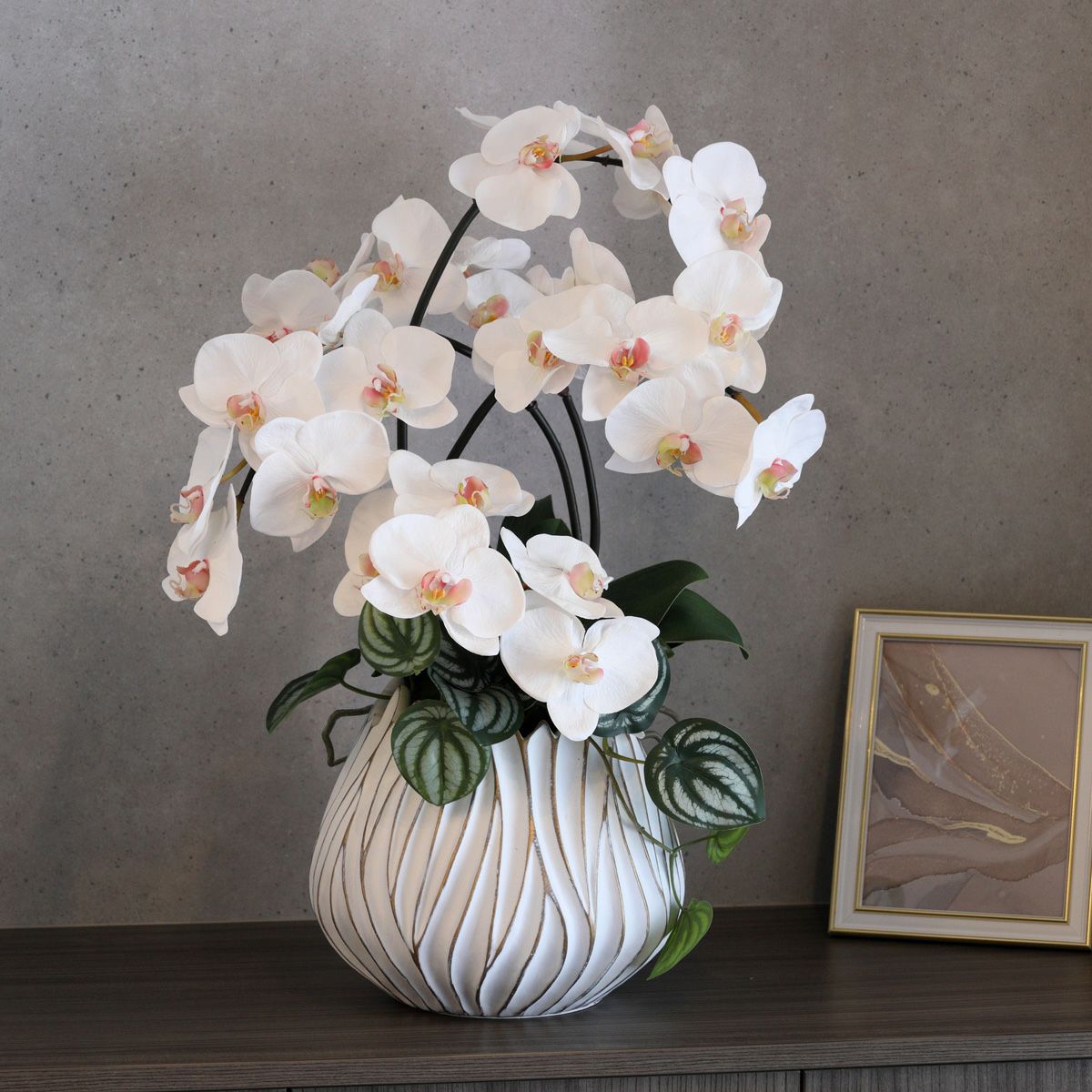 ファレノプシス(胡蝶蘭) | パレフローラ公式通販｜アーティフィシャル